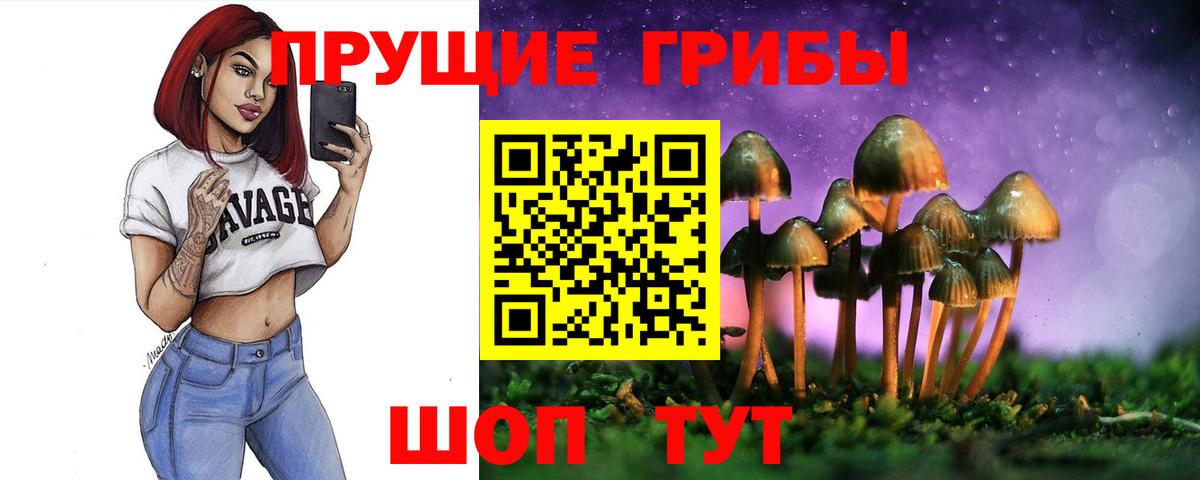 Галлюциногенные грибы Cubensis Екатеринбург